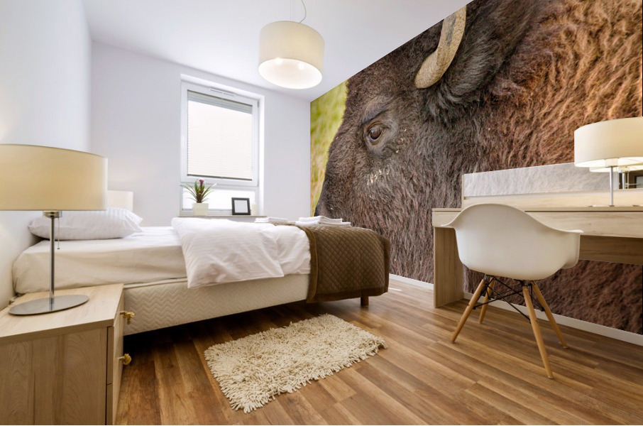 Bison Headshot Profile a Mural print