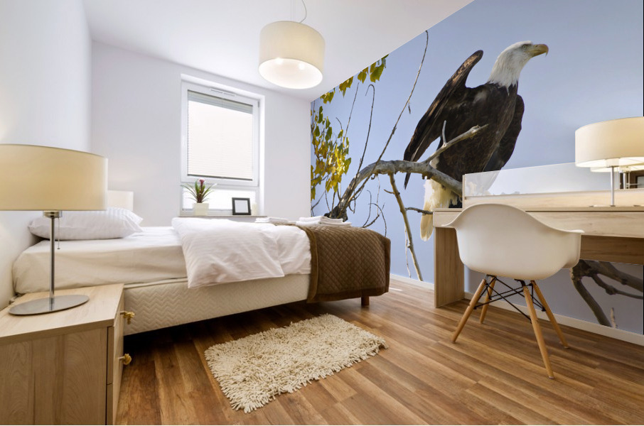 Eagle Wave Impression murale