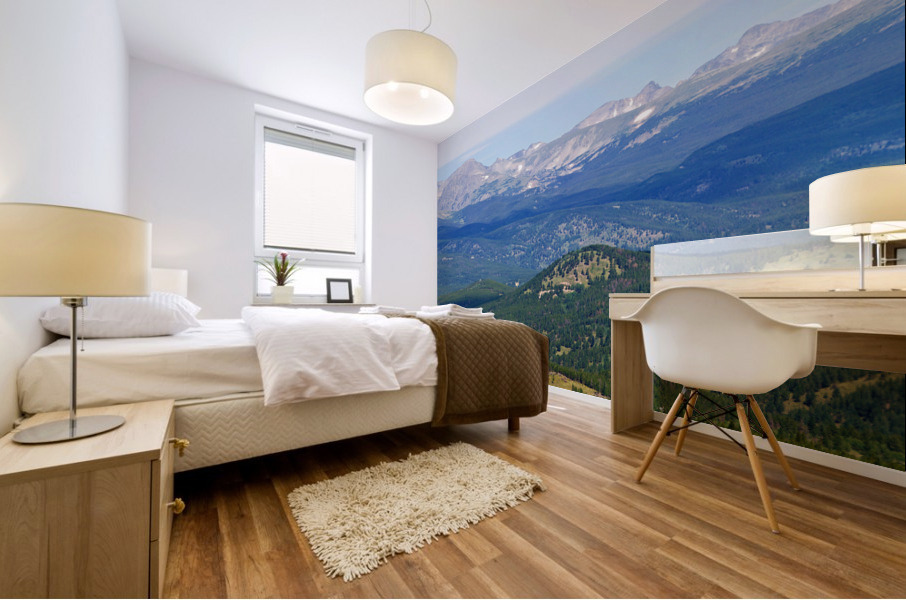 Colorado Continental Divide 4 of 5 Impression murale