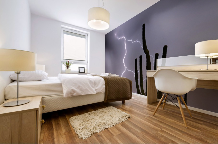 Sonoran Desert Monsoon Storming Mural print