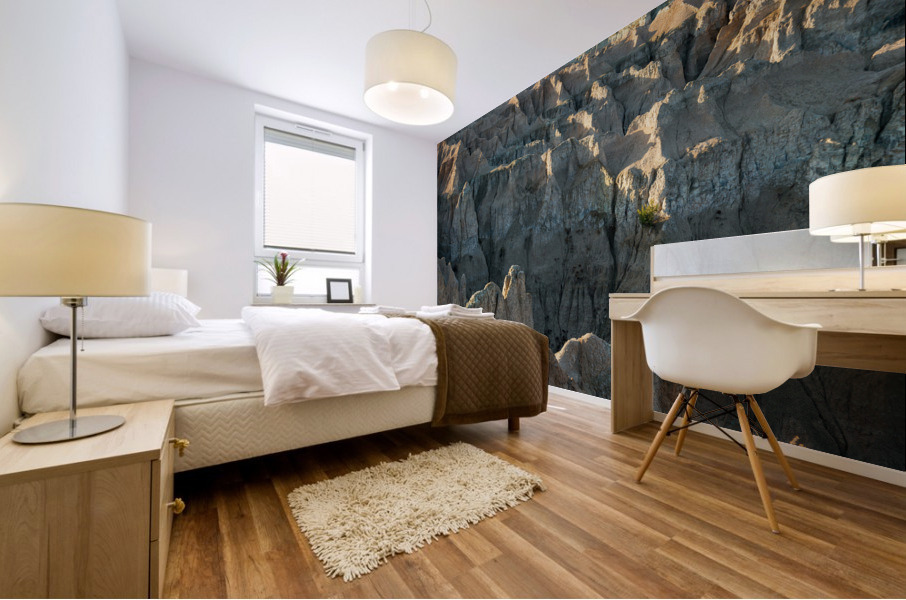 A Tapestry of Textures - Exploring the Badlands Mural print