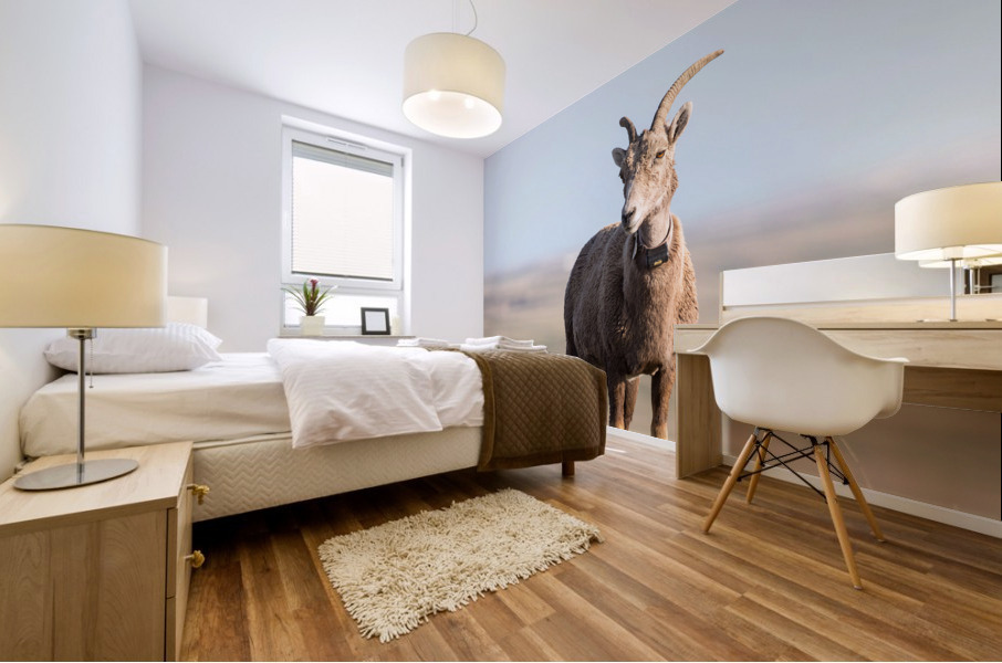 Badlands Bighorn A Glimpse of Audubons Majestic Sheep Mural print