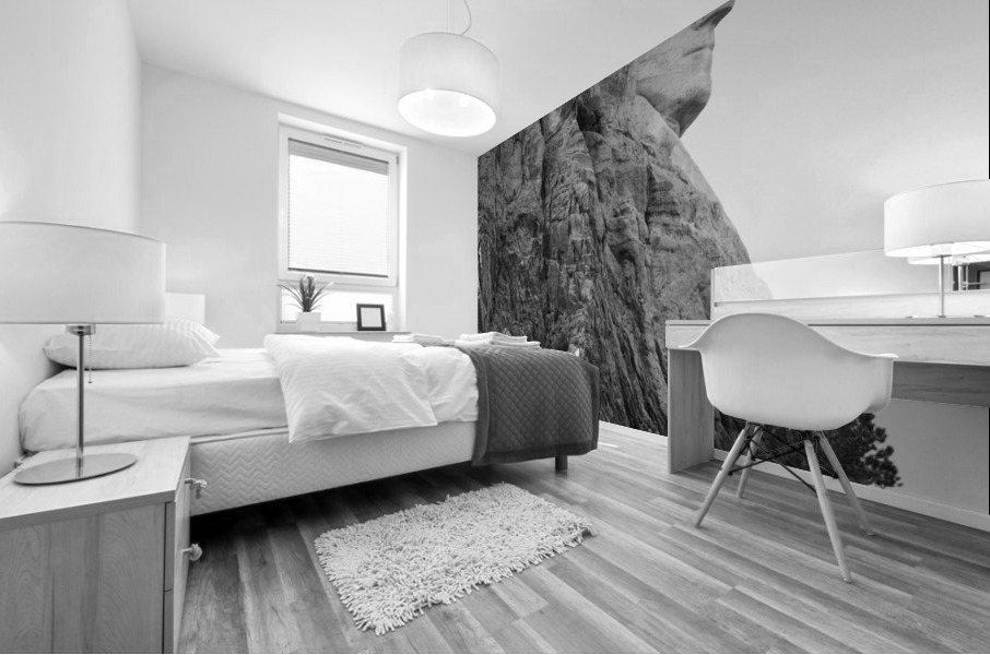 Silent Majesty George Washingtons Profile at Mount Rushmore Mural print