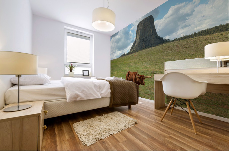 Longhorn Cow Posing at Devils Tower in Wyoming - First US Nation Impression murale