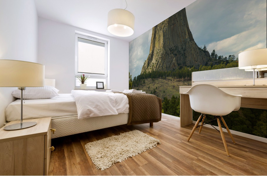 Majestic Devils Tower in Wyoming Surrounded by Pine Forest Mural print