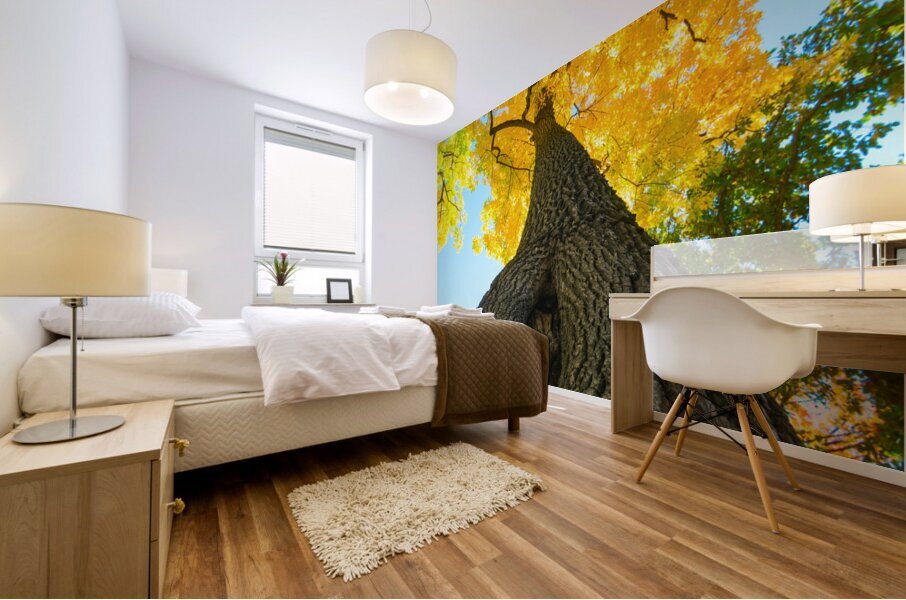 Golden Autumn Tree - Majestic Trunk and Leaves in Fall Splendor Impression murale