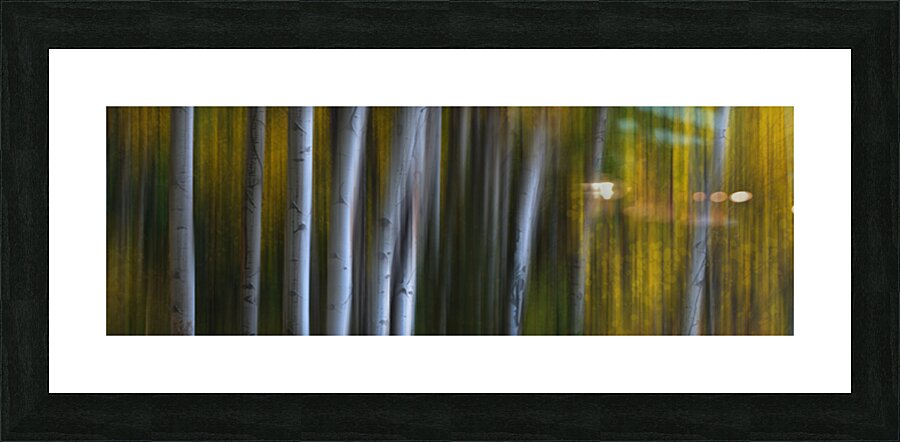 Forest Wilderness Wonderland Abstract  Photo Art Picture Frame print