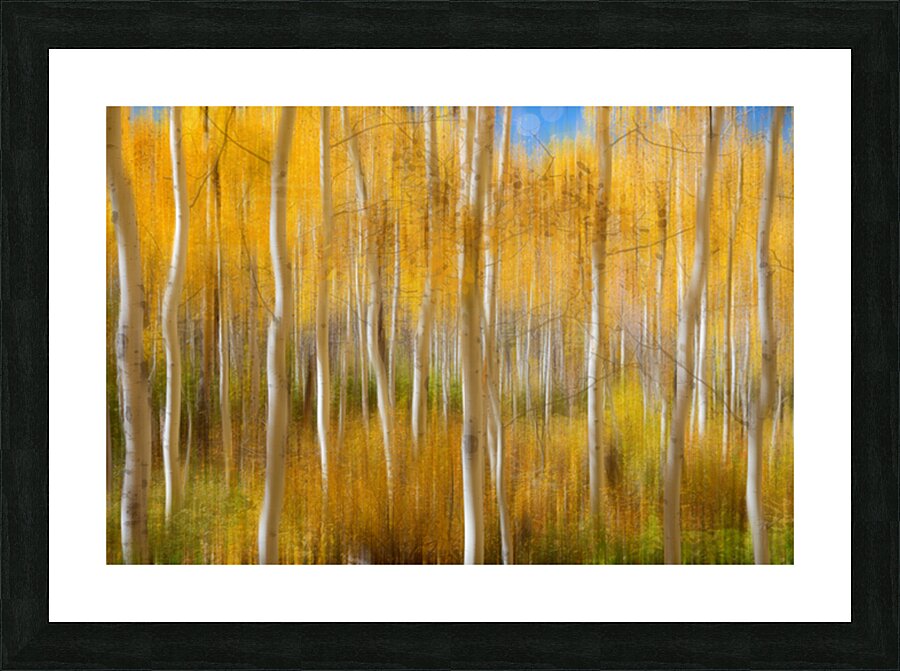Golden Forest Moment Abstract Picture Frame print
