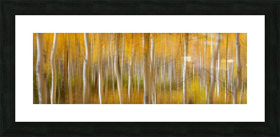 Golden Forest Moment Abstract Panorama Picture Frame print