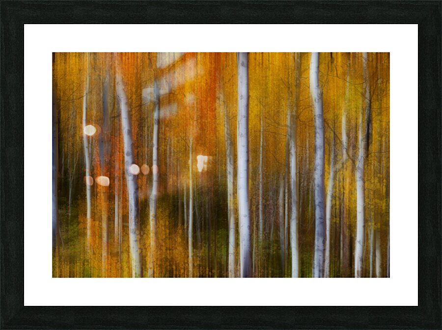Forest Color Burst Modern Abstract Picture Frame print