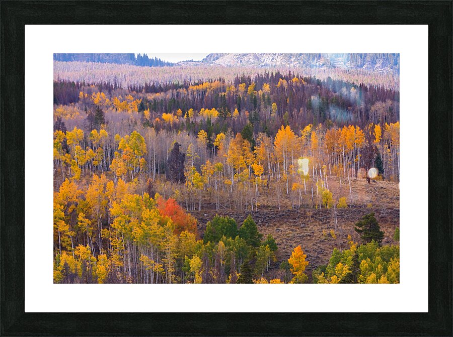 Rocky Mountain Autumn View Picture Frame print