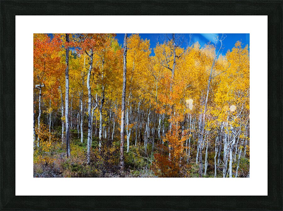 Mix It Up Picture Frame print