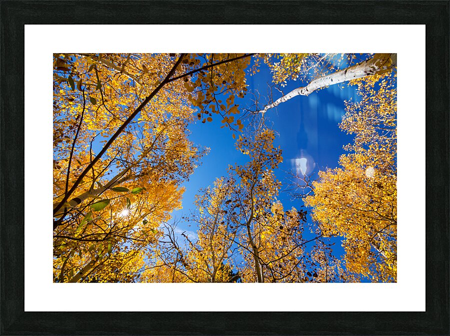 Blue Sky Autumn Bliss Impression et Cadre photo
