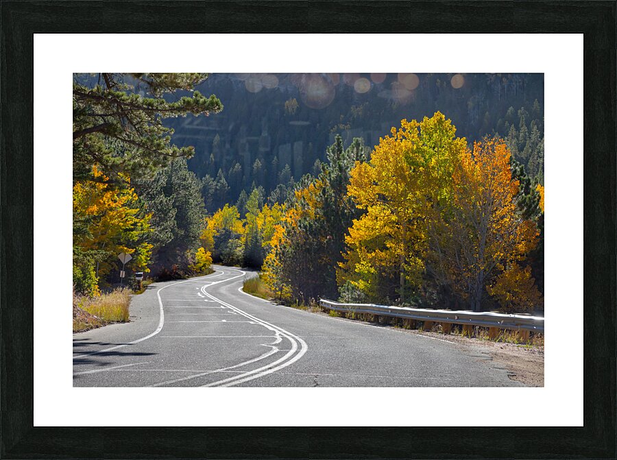 Autumn Journey: Winding Through Boulder Countys Canyon Splendor Picture Frame print