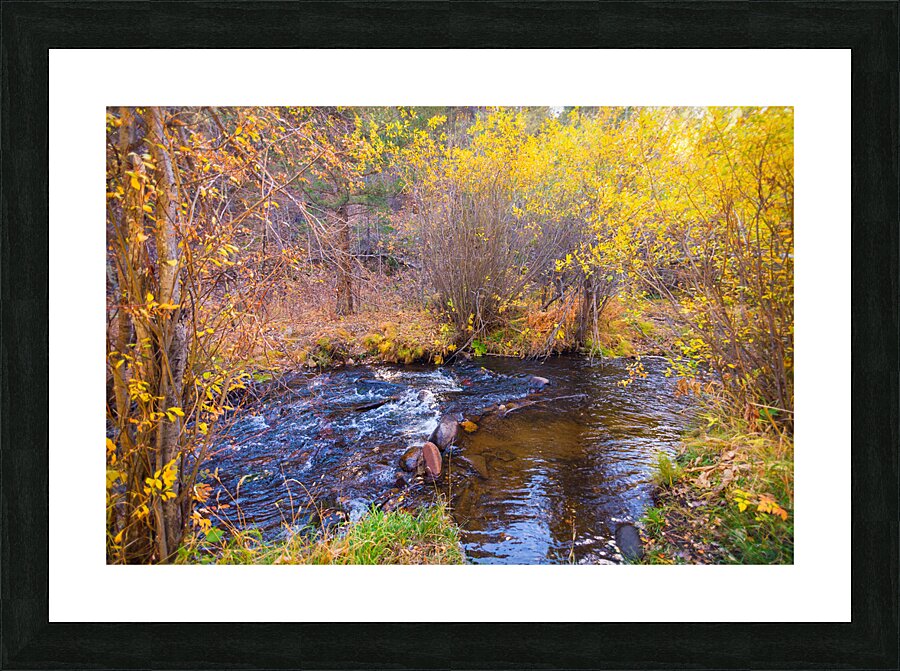 Golden Autumn Creek – Serene Fall Foliage Nature Photography Impression et Cadre photo
