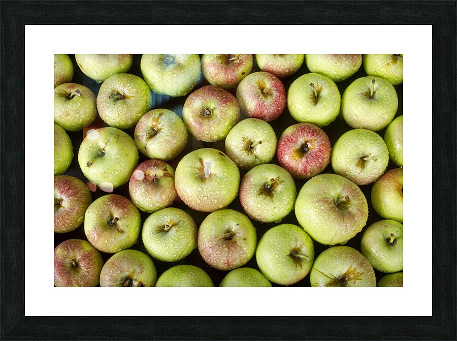Little Green Apples Impression et Cadre photo