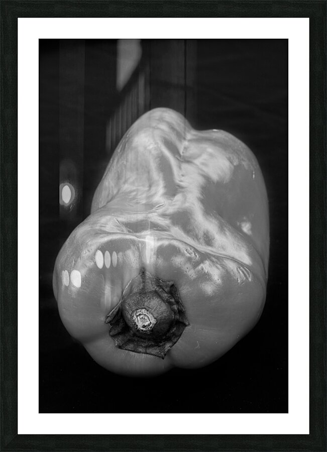 Red Pepper Bringing Sexy Back Black and White Picture Frame print