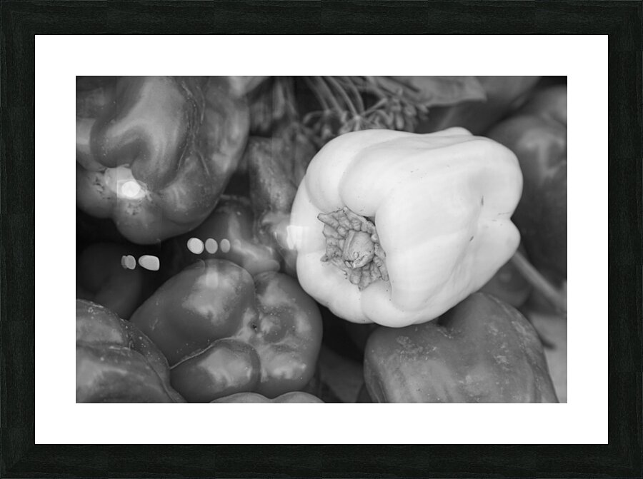 Albino Bullnose Pepper BW Picture Frame print