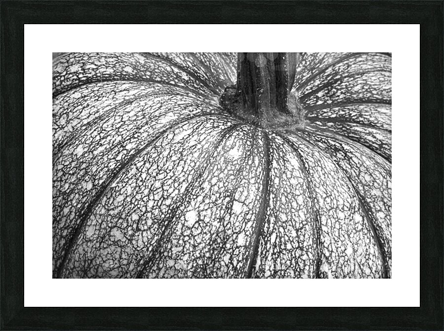 Pumpkin Pumpkin Black and White Impression et Cadre photo
