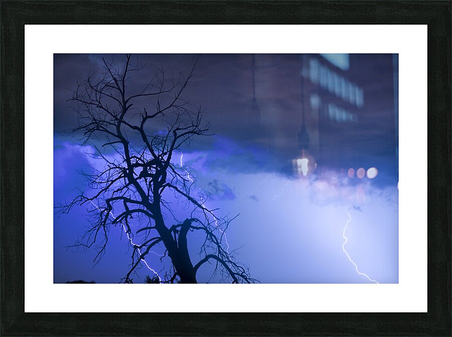 Lightning Tree Silhouette 38 Picture Frame print