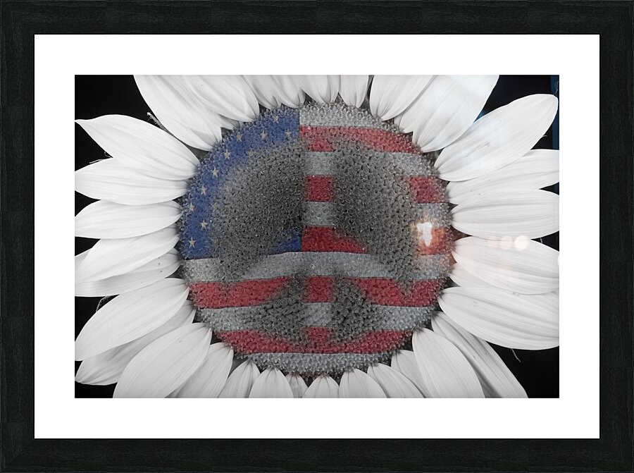 American Sunflower Power Picture Frame print