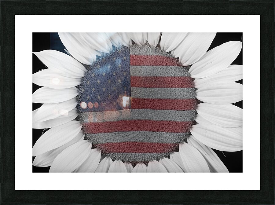 American Sunflower Power Picture Frame print