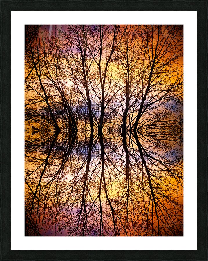 Sunset Tree Silhouette Abstract 1 Picture Frame print