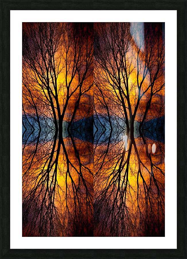Sunset Tree Silhouette Abstract 4 1 Picture Frame print