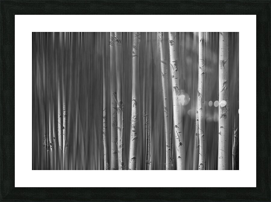 Somewhere Along the Road Dreaming Black and White Impression et Cadre photo