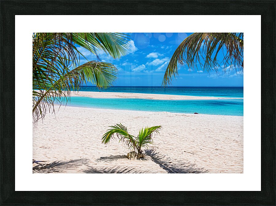 Tropical White Sand Beaches Vacation View Picture Frame print