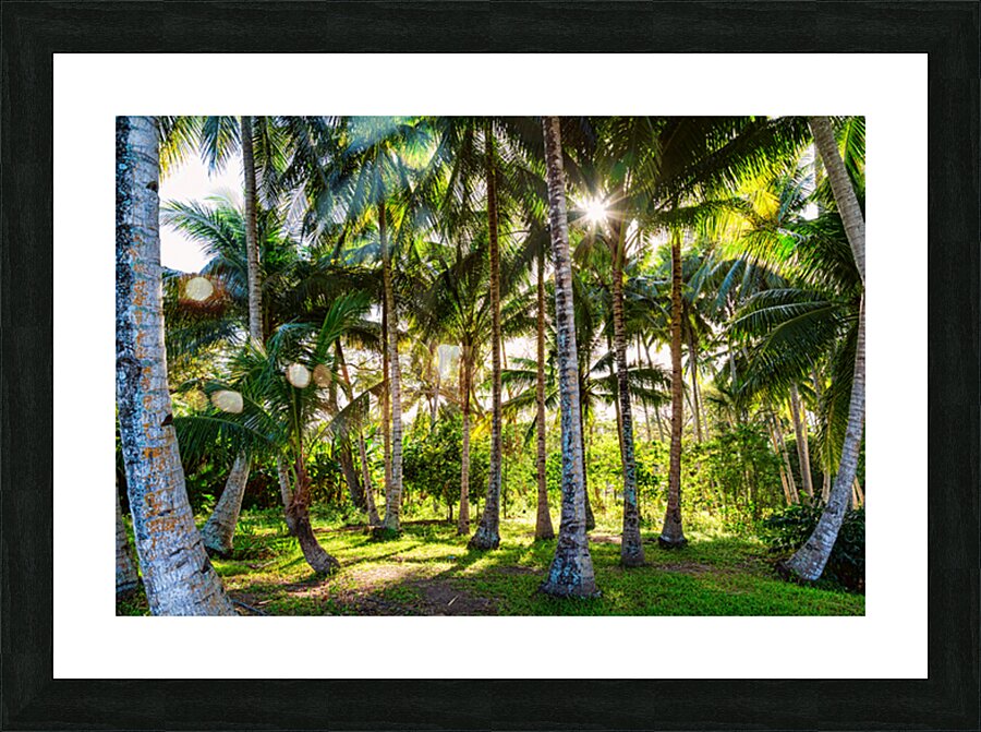 Jungle Paradise Sunshine Impression et Cadre photo