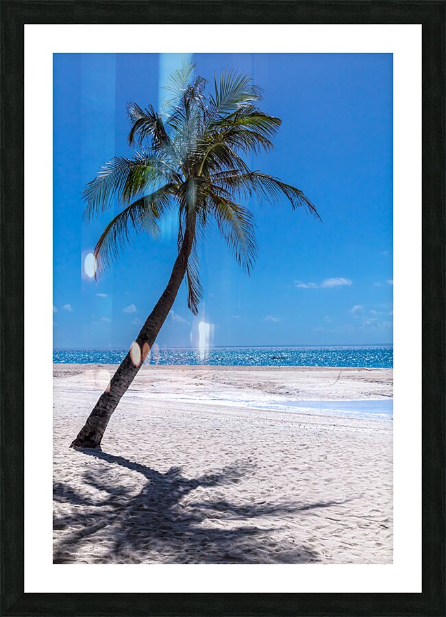 White Sand Beaches and Tropical Blue Skies Picture Frame print