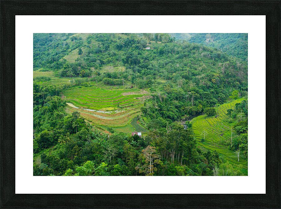 Mountain Rice Fields of Negros Island Emerald Tranquility Picture Frame print