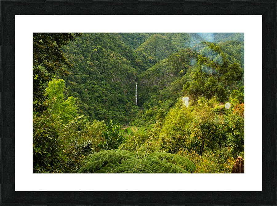 Emerald Veil of Negros Picture Frame print