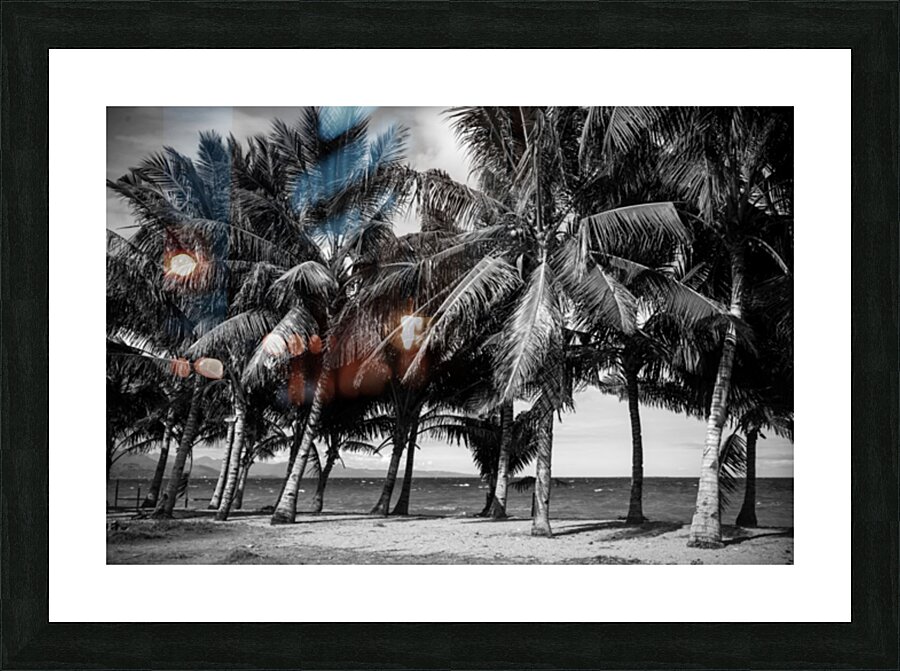 Whispers of Monochrome Palms Impression et Cadre photo