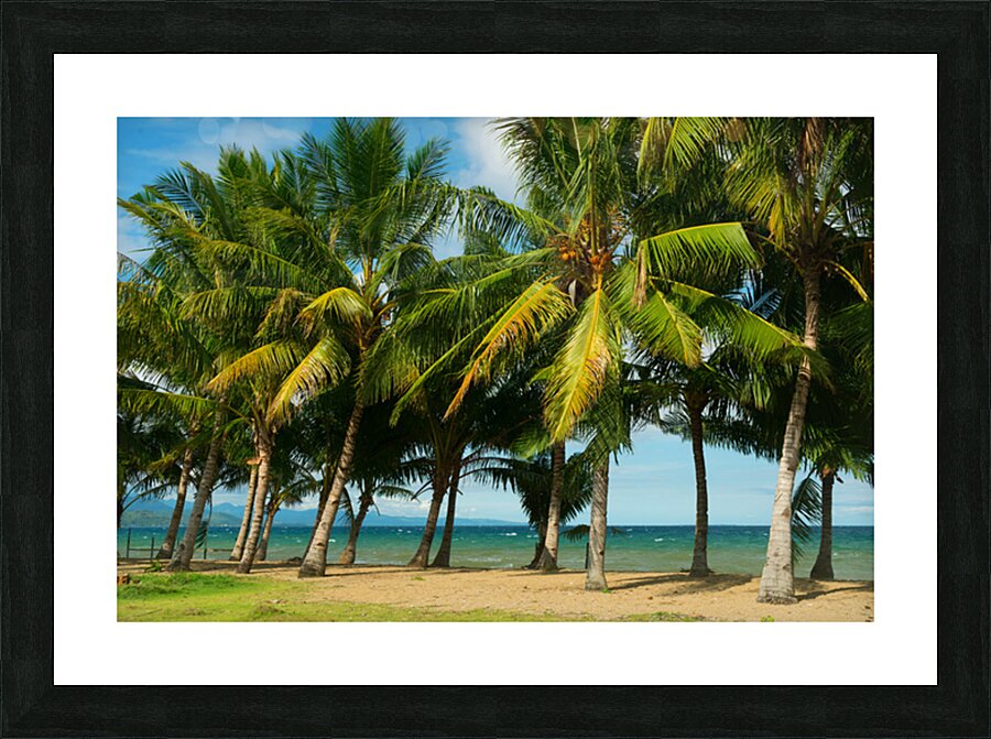 Stunning Palm Trees Swaying on the Shores of Negros Oriental Impression et Cadre photo
