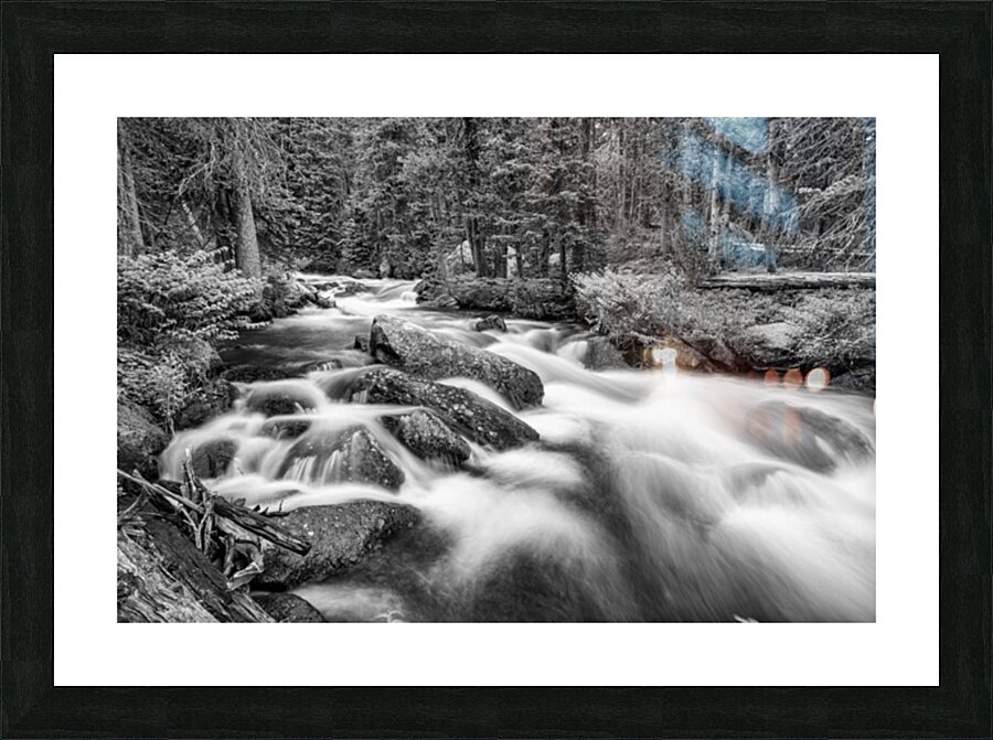 Roosevelt National Forest Stream Picture Frame print