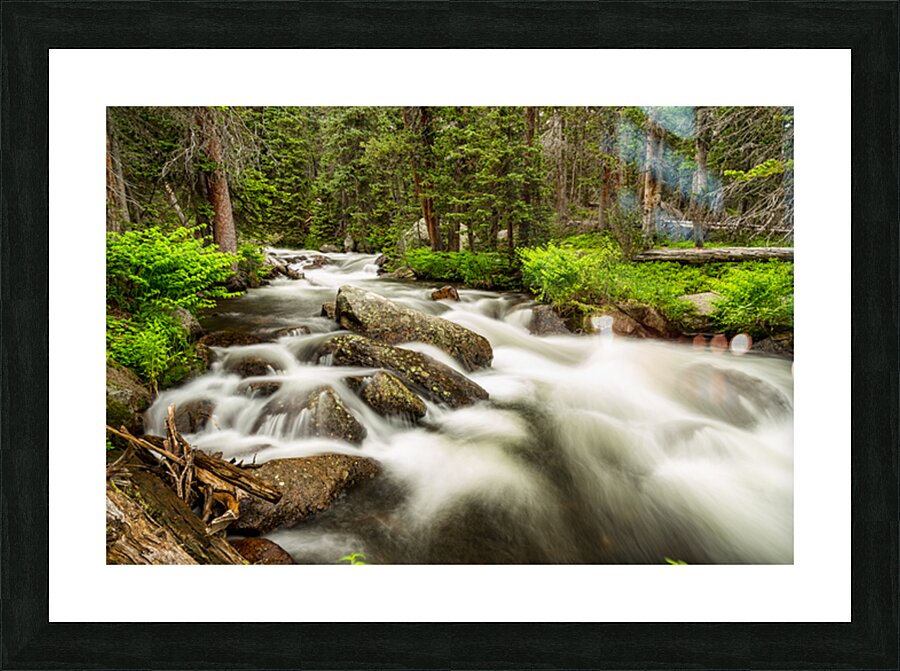 Roosevelt National Forest Stream Picture Frame print