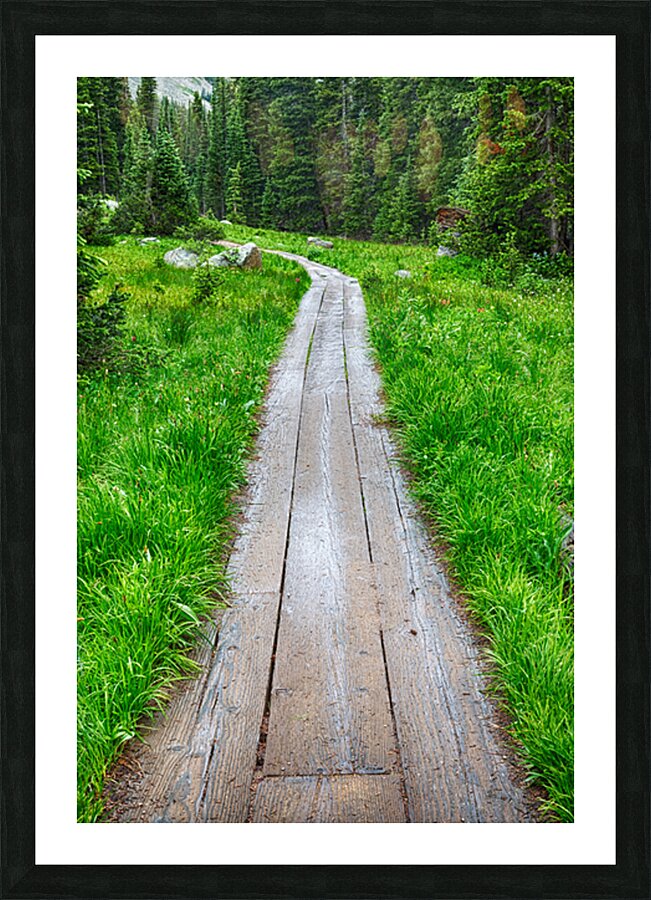 Wooden Forest Path Picture Frame print