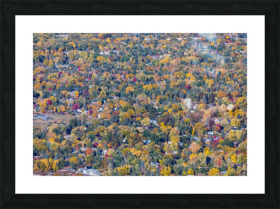 Colorful Trees of Boulder Colorado Picture Frame print