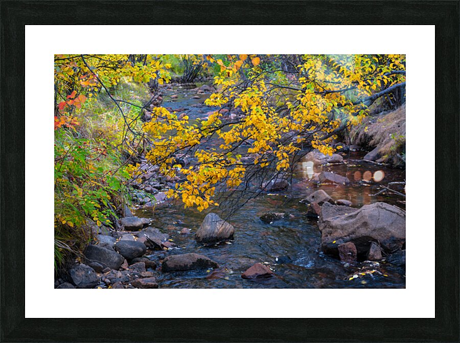 Golden Stream Picture Frame print