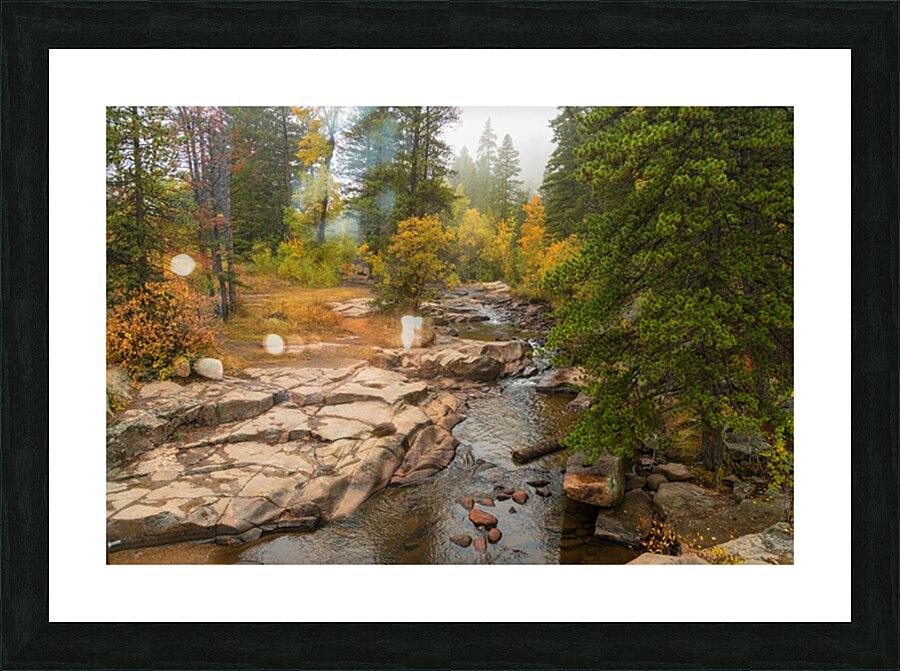 Upstream St Vrain Picture Frame print
