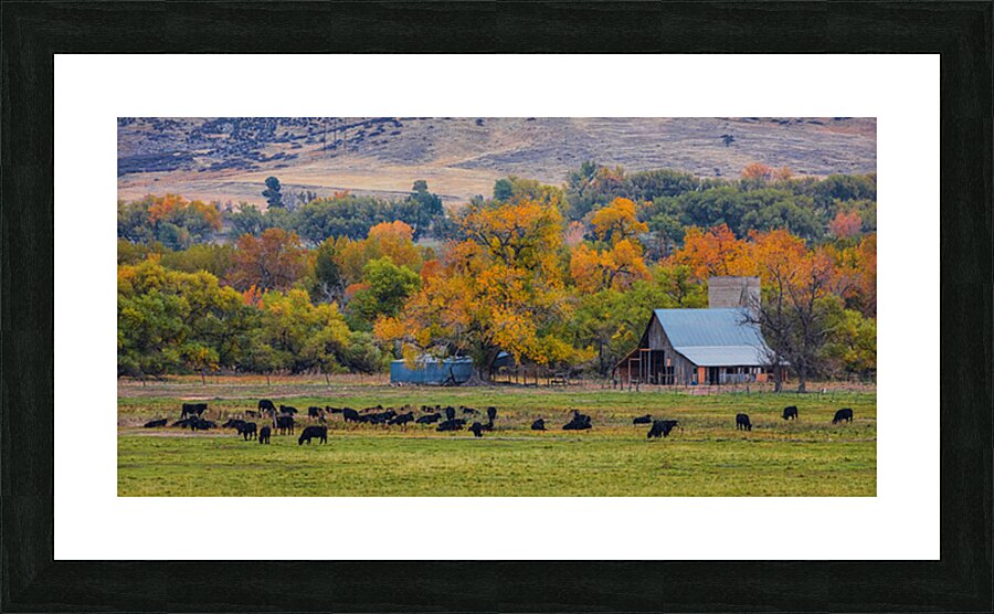 Just A Pretty Country Landscape Picture Frame print