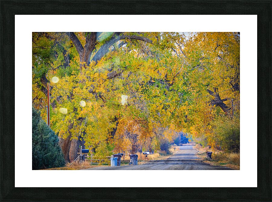 Awesome Country Road Picture Frame print