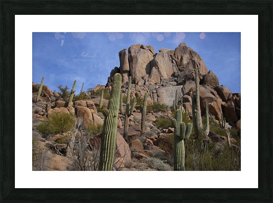 Scenic with Big Boulders Towering Giants of the Sonoran Desert Picture Frame print