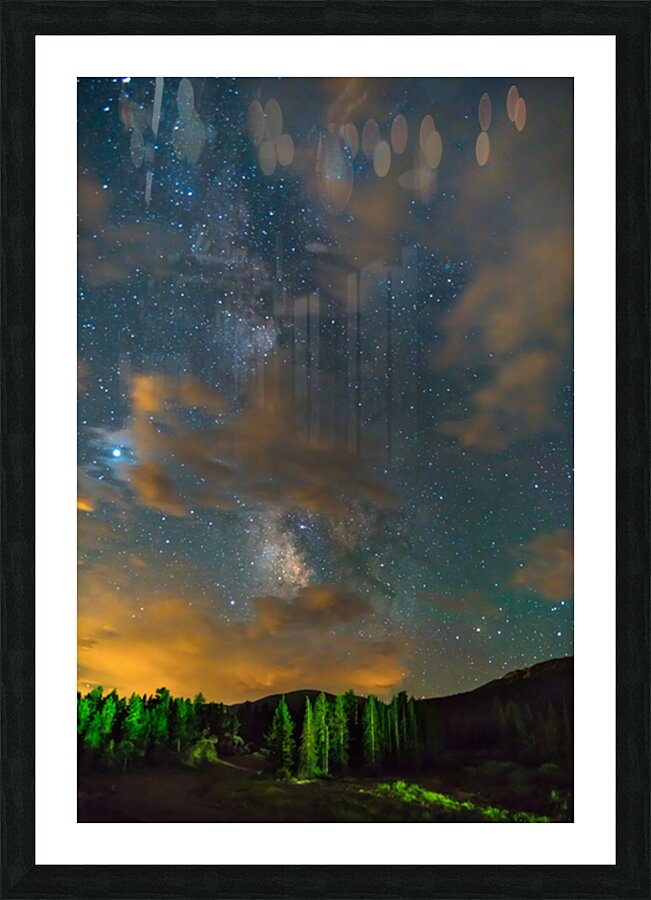 Forest In The Night Picture Frame print