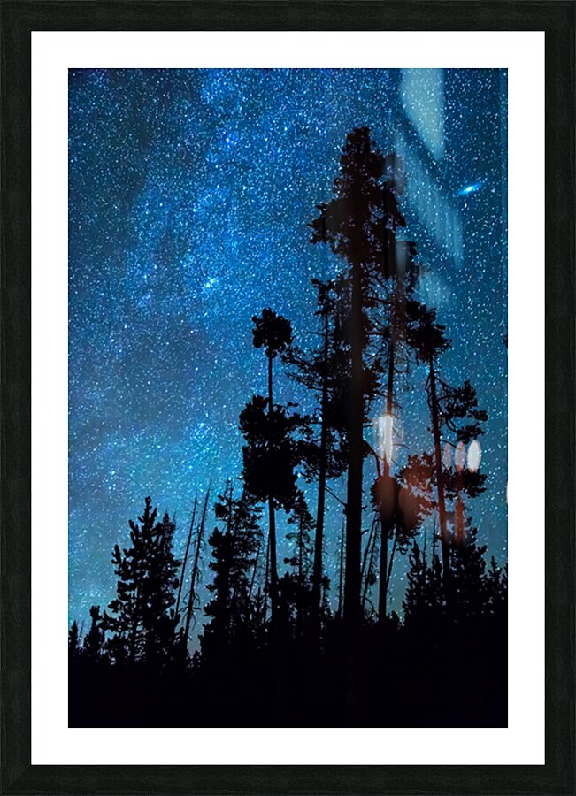 Pinnacle Of The Forest  Picture Frame print