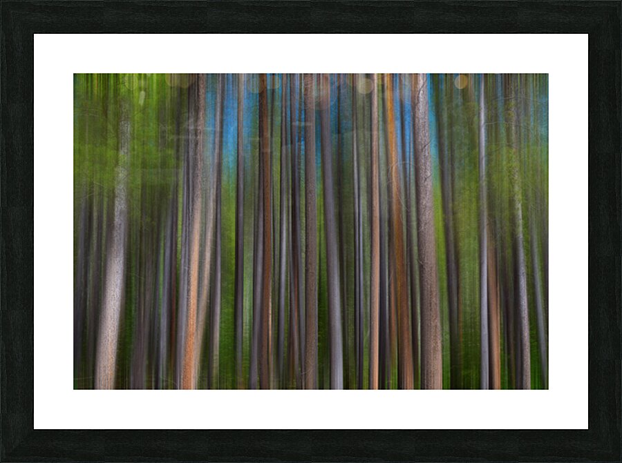 Colorful Forest Lines  Impression et Cadre photo