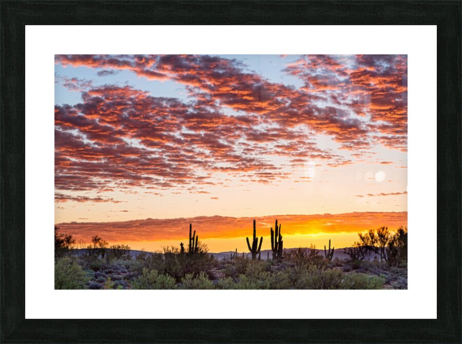 Colorful Sonoran Desert Sunrise Picture Frame print