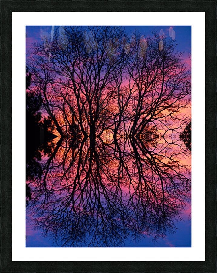Sunset Trees Abstract Reflection Art Picture Frame print